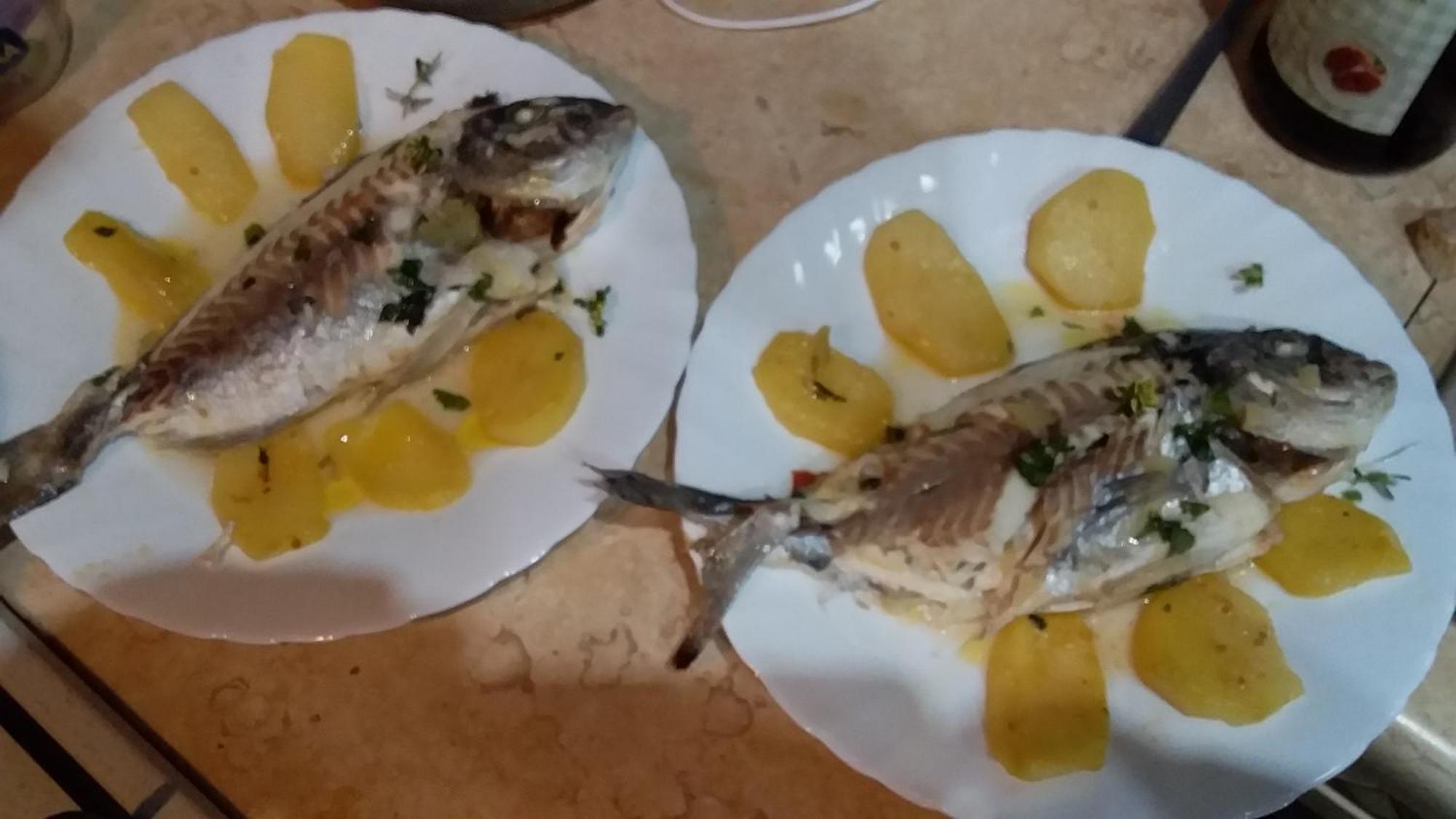 Appartamento Angela - Orto Botanico